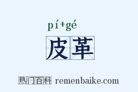 皮革是什么意思的图片